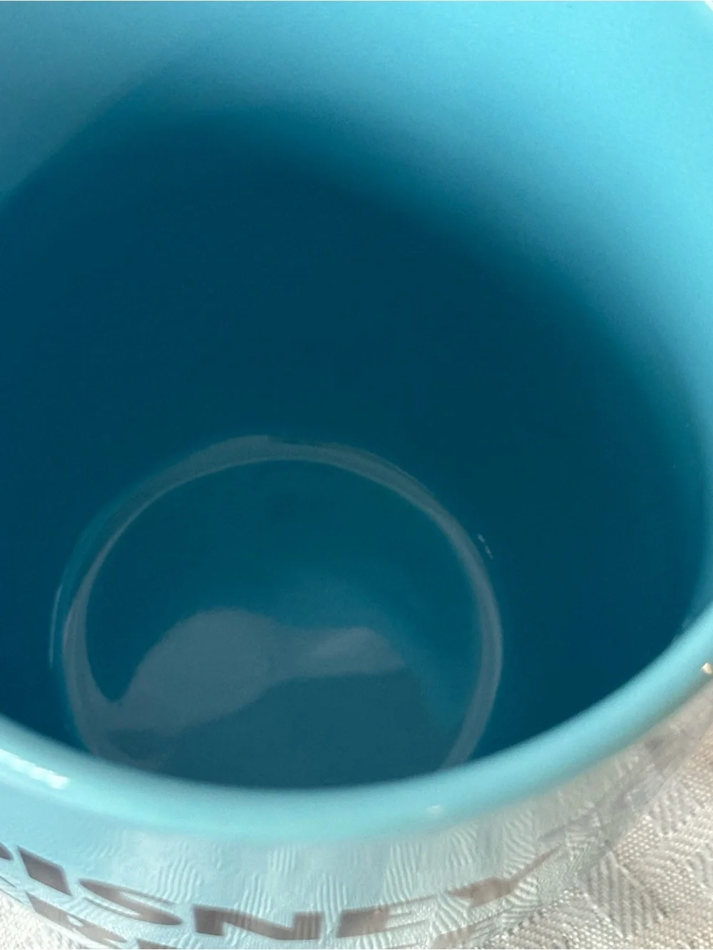 Disney Cruise Line Light Blue Donald Duck Ceramic Coffee Mug